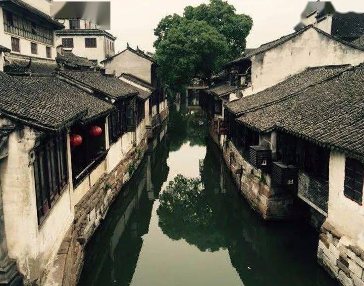 沪港川姊妹校携手迎新春,科技节让孩子们梦想启航
